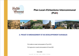 Plan Local D'urbanisme Intercommunal (Plui)