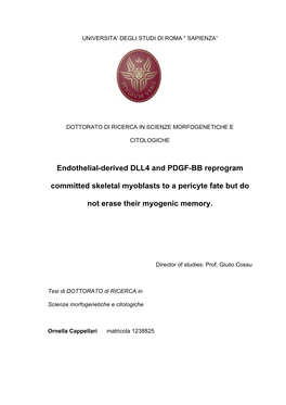 Endothelial-Derived DLL4 and PDGF-BB Reprogram