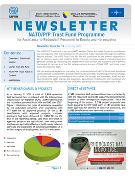 Newsletter Issue No.13 February 2009