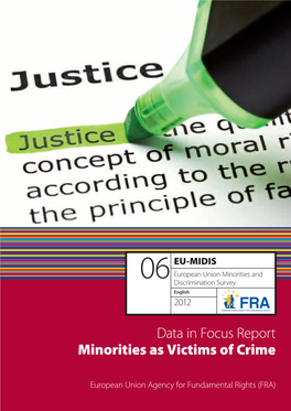 Data in Focus Report Minorities As Victims of Crime