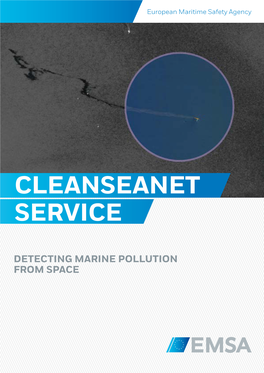 Cleanseanet Service