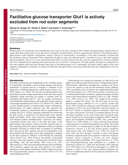 Facilitative Glucose Transporter Glut1 Is Actively Excluded from Rod Outer Segments