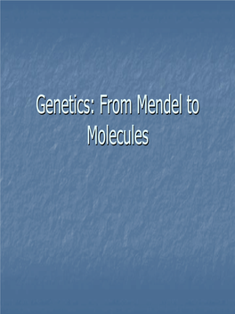Genetics: from Mendel to Molecules