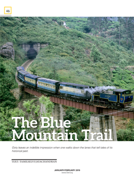 The Blue Mountain Trail