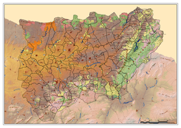 Catálogo De Montes Públicos De Jaén