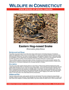 Eastern Hog-Nosed Snake Fact Sheet