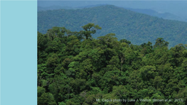 Biodiversity Status in Sierra Madre Mountain Range of Region 02