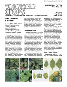 Virus Diseases of Peppers