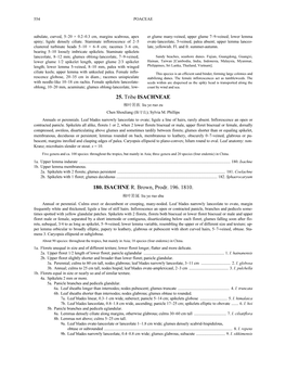 25. Tribe ISACHNEAE 180. ISACHNE R. Brown, Prodr. 196. 1810