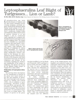 Leptosphaerulina Leaf Blight of Turfgrasses ... Lion Or Lamb? by Steve Abler and Dr