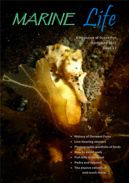 Marine Life Magazine