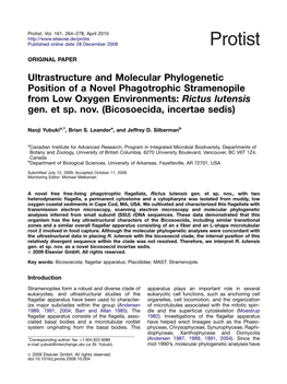 Ultrastructure and Molecular Phylogenetic Position of a Novel Phagotrophic Stramenopile from Low Oxygen Environments: Rictus Lutensis Gen