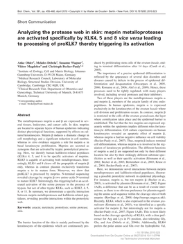 Analyzing the Protease Web in Skin: Meprin Metalloproteases Are