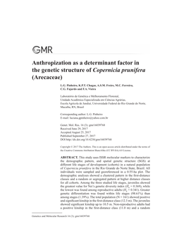 Anthropization As a Determinant Factor in the Genetic Structure of Copernicia Prunifera (Arecaceae)