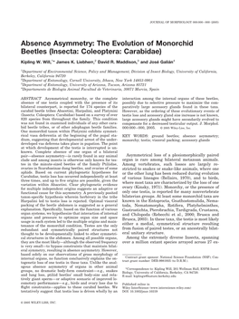 The Evolution of Monorchid Beetles (Insecta: Coleoptera: Carabidae)