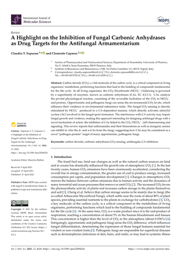 A Highlight on the Inhibition of Fungal Carbonic Anhydrases As Drug Targets for the Antifungal Armamentarium