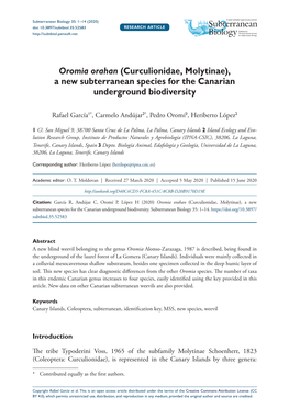 Oromia Orahan (Curculionidae, Molytinae), a New Subterranean Species for the Canarian Underground Biodiversity
