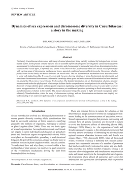 Dynamics of Sex Expression and Chromosome Diversity in Cucurbitaceae: a Story in the Making