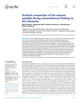 Gradual Compaction of the Nascent Peptide During Cotranslational