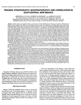 Triassic Stratigraphy, Biostratigraphy and Correlation in East-Central New Mexico