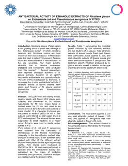 ANTIBACTERIAL ACTIVITY of ETHANOLIC EXTRACTS of Nicotiana Glauca on Escherichia Coli and Pseudomonas Aeruginosa in VITRO