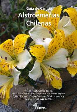 Alstroemerias Chilenas