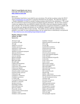 Hopkins, Monterey County January 18, 2003 Species List