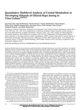 Quantitative Multilevel Analysis of Central Metabolism in Developing Oilseeds of Oilseed Rape During in Vitro Culture1[OPEN]