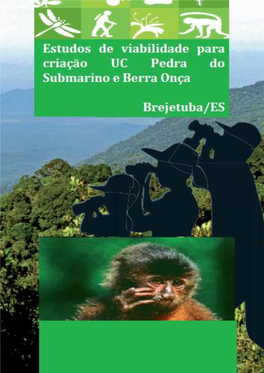 Estudos De Viabilidade Para Criação UC Pedra Do Submarino E Berra Onça Brejetuba/ES