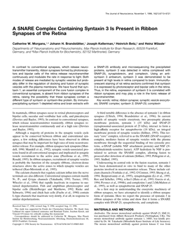 A SNARE Complex Containing Syntaxin 3 Is Present in Ribbon Synapses of the Retina