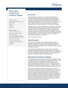 Bankruptcy, Insolvency & Creditors' Rights Overview