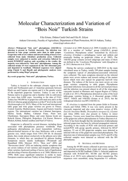 Molecular Characterization and Variation of “Bois Noir” Turkish Strains