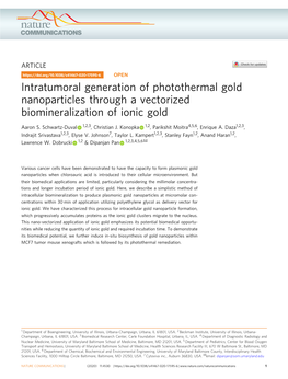 Intratumoral Generation of Photothermal Gold Nanoparticles Through a Vectorized Biomineralization of Ionic Gold