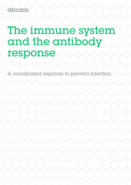 The-Immune-System-And-The-Antibody