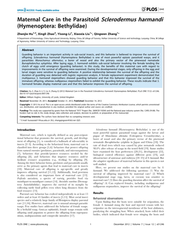 Maternal Care in the Parasitoid Sclerodermus Harmandi (Hymenoptera: Bethylidae)