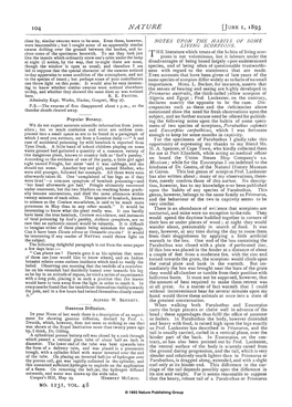 NATURE [June I, 1893 Close By, Similar Swarms Were to Be Seen