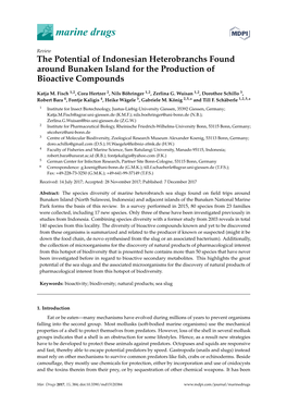 The Potential of Indonesian Heterobranchs Found Around Bunaken Island for the Production of Bioactive Compounds
