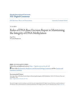 Roles of DNA Base Excision Repair in Maintaining the Integrity of DNA Methylation Jing Zhou FIU, Jzhou003@Fiu.Edu