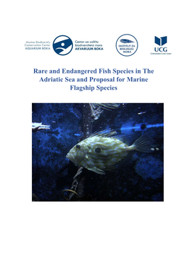 Rare and Endangered Fish Species in the Adriatic Sea and Proposal for Marine Flagship Species