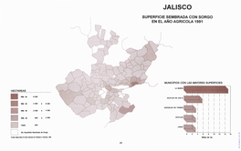 Superficie Sembrada Con Sorgo En El Año Agricola 1991