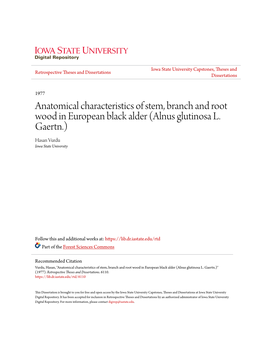 Anatomical Characteristics of Stem, Branch and Root Wood in European Black Alder (Alnus Glutinosa L