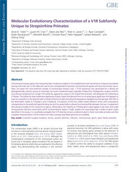 Molecular Evolutionary Characterization of a V1R Subfamily Unique to Strepsirrhine Primates