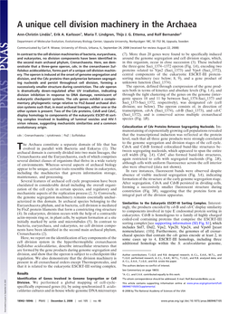 A Unique Cell Division Machinery in the Archaea