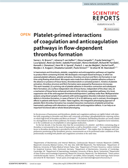 Platelet-Primed Interactions of Coagulation and Anticoagulation Pathways in Flow-Dependent Thrombus Formation