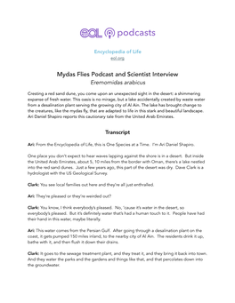 Mydas Flies Podcast.Pages