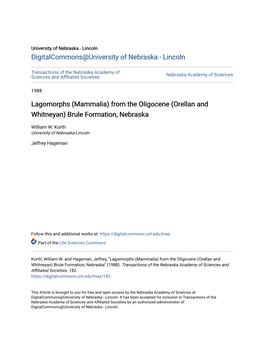 Lagomorphs (Mammalia) from the Oligocene (Orellan and Whitneyan) Brule Formation, Nebraska