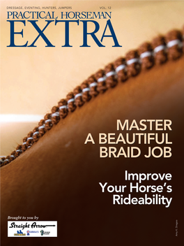 MASTER a BEAUTIFUL BRAID JOB Improve Your Horse’S Rideability