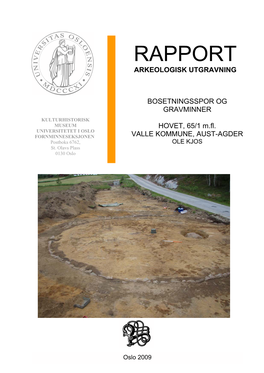 Rapport Arkeologisk Utgravning