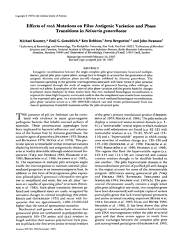 Effects of Reca Mutations on Pilus Antigenic Variation and Phase Transitions in Neisseria Gonorrhoeae