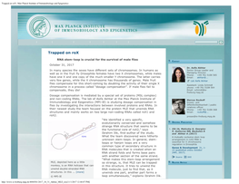 Max Planck Institute of Immunobiology and Epigenetics